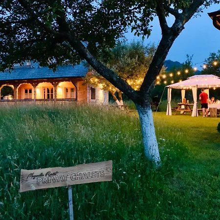 Magnolia Resort Chalets Vişeu de Sus Zewnętrze zdjęcie