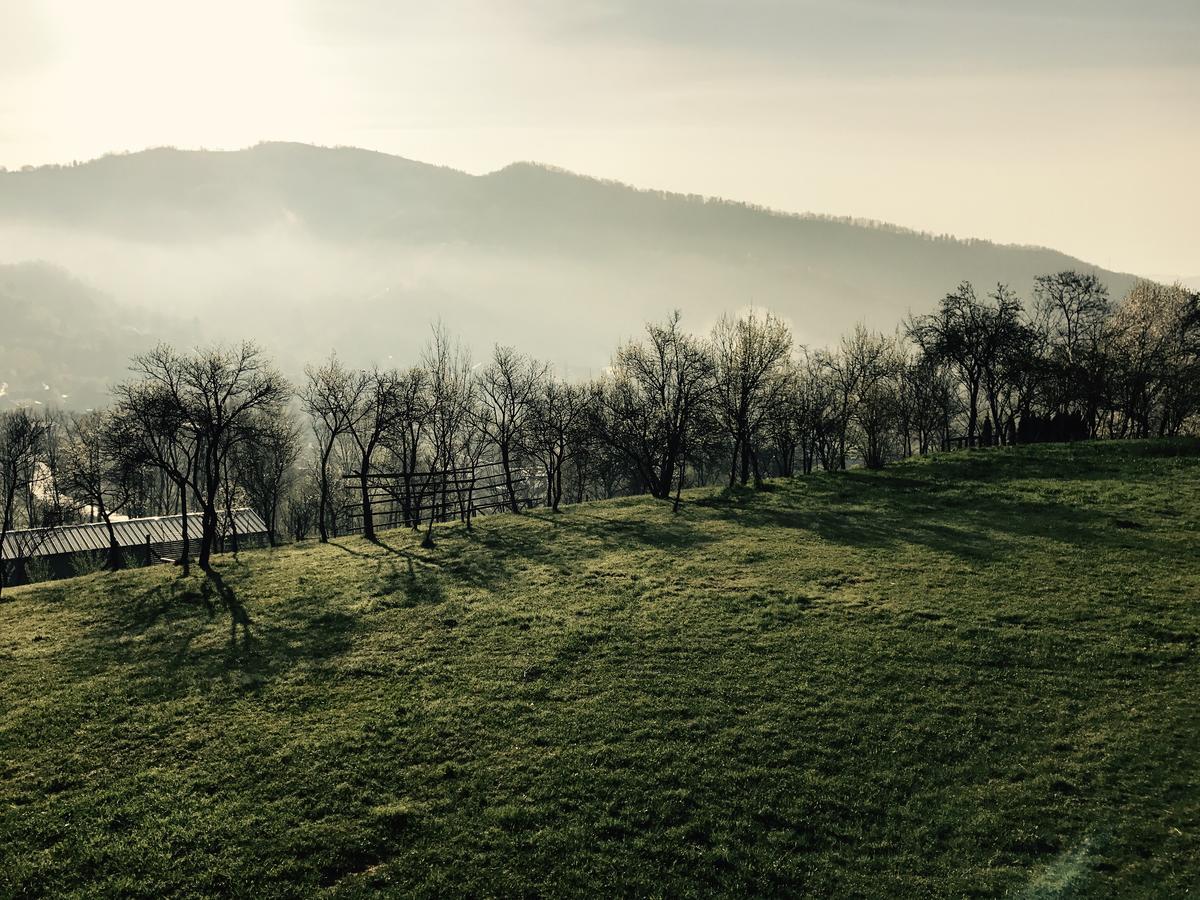 Magnolia Resort Chalets Vişeu de Sus Zewnętrze zdjęcie
