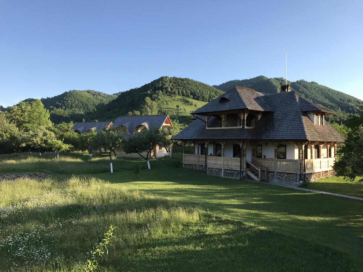 Magnolia Resort Chalets Vişeu de Sus Zewnętrze zdjęcie