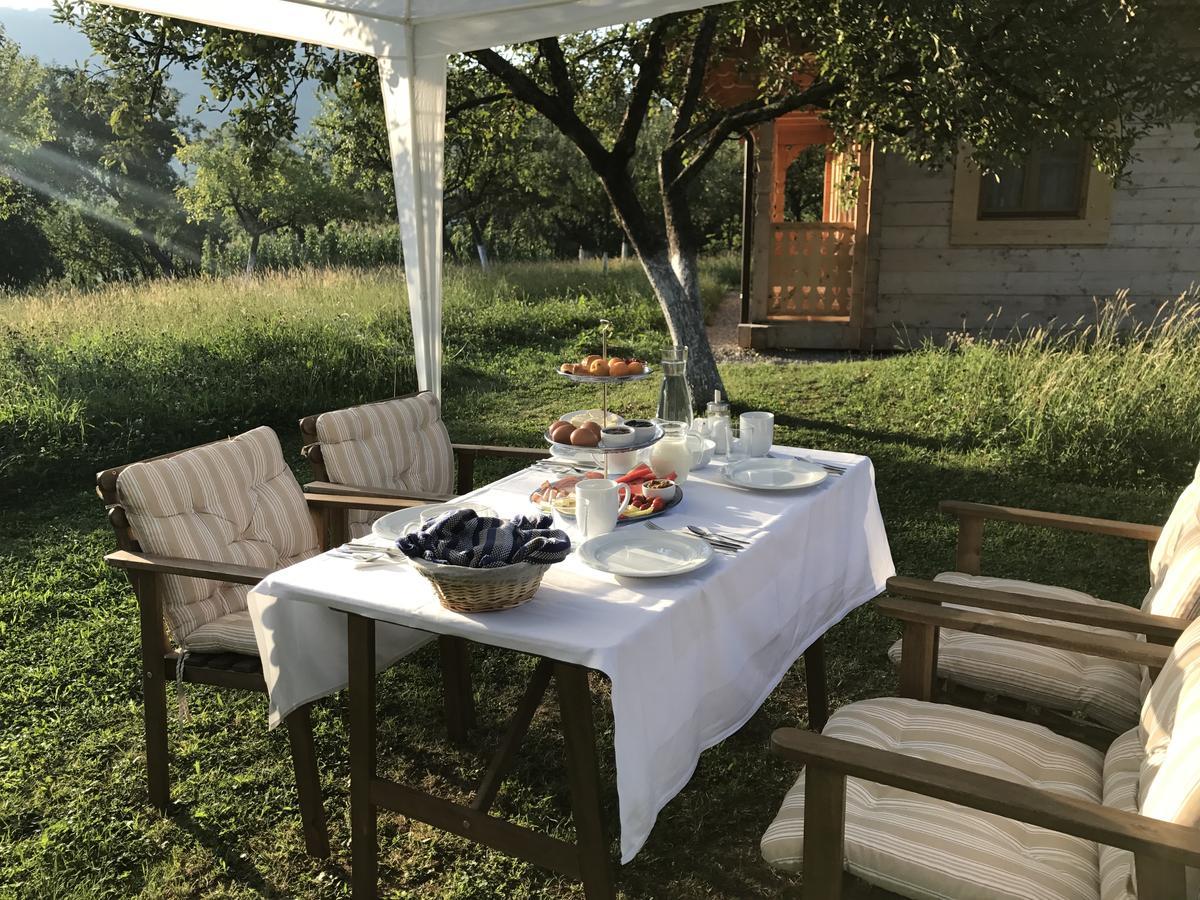 Magnolia Resort Chalets Vişeu de Sus Zewnętrze zdjęcie